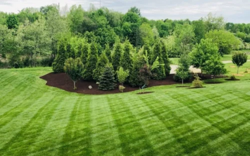 Marcelo's Landscaping 5ml