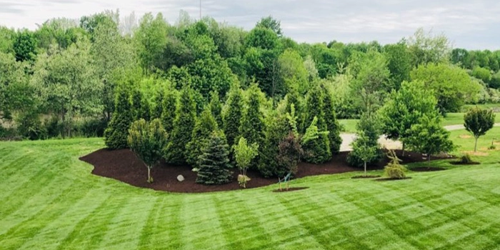 Marcelo's Landscaping 5ml Crop