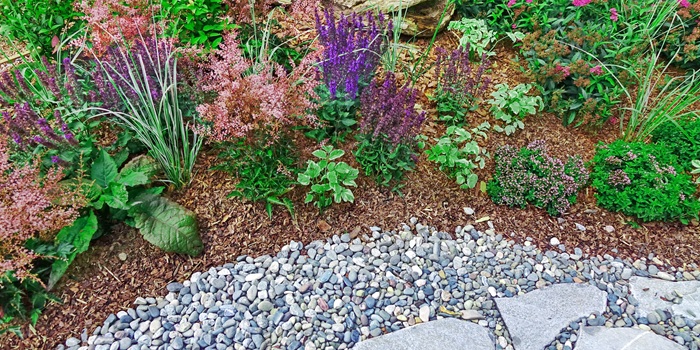 Backyard Garden Modern Designed Landscaping. Decorative Garden Design. Back Yard Lawn And Natural Mulched Border Between Grass, Plants And Pebble, Gravel Or Stone Walk Path.
